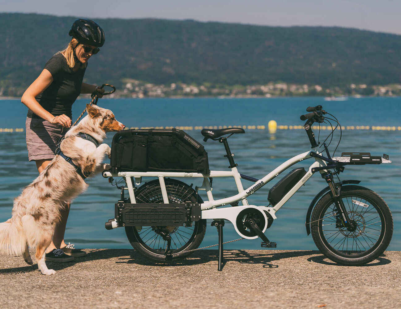 Yuba Bikes FastRack WoofTop Lake |||||Yuba Bikes Wooftop